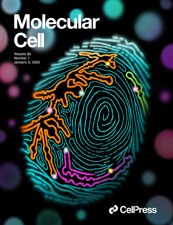 Molecular Cell journal cover featuring a vibrant, artistic depiction of epitranscriptomic rRNA fingerprinting research by the Novoa Lab, highlighting a breakthrough in cancer detection.
